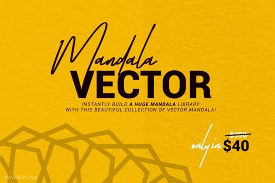 25xt-161768 500-Mandala-Vector-Collectionz10.jpg