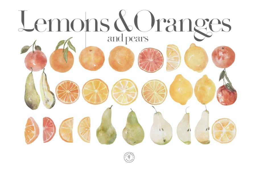 25xt-170810 Juicy-summer-lemons-and-oranges-in-watercolorz2.jpg