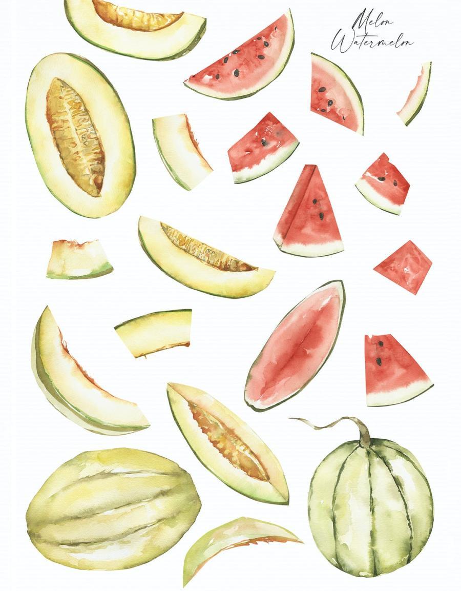 25xt-163108 Watercolor-Melon-and-Watermelon-clipartz3.jpg