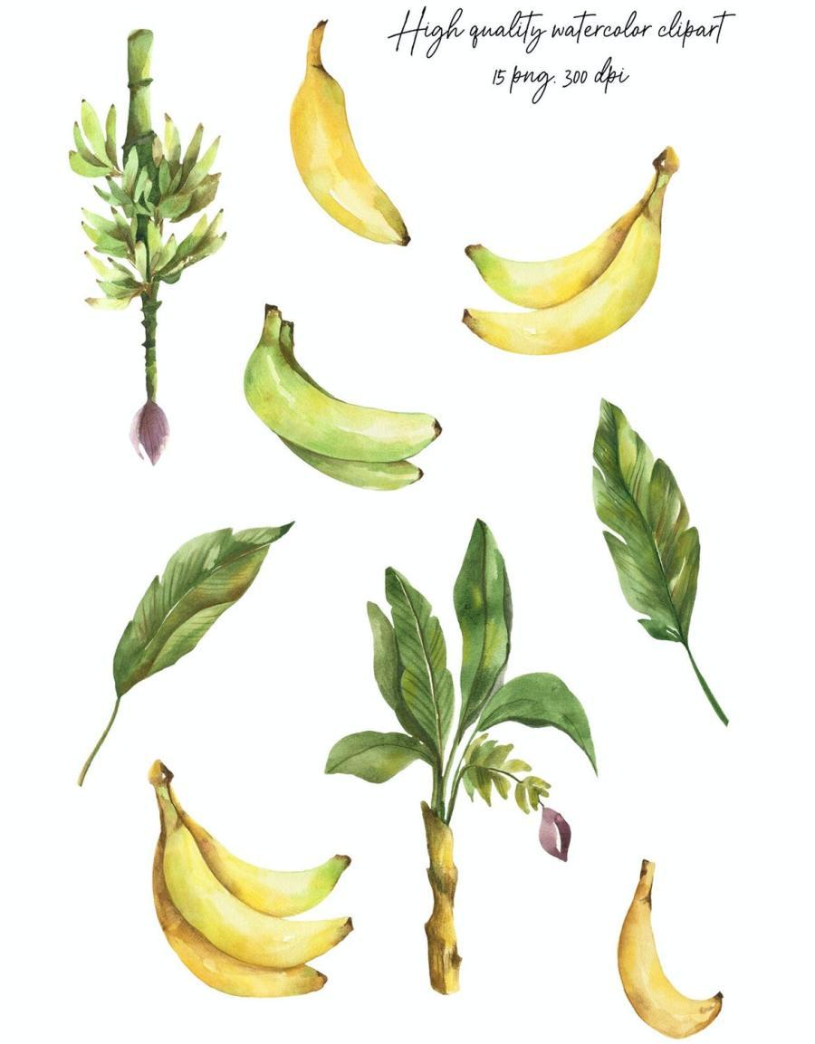 25xt-488652 Watercolor-Clipart-Banana-Exotic-fruitz5.jpg