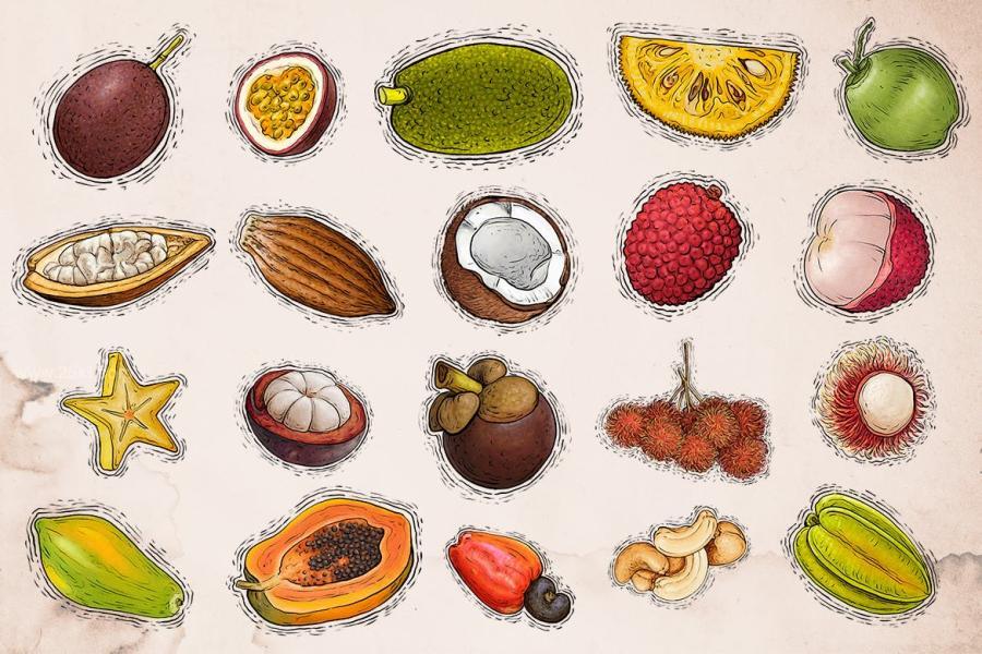 25xt-164049 Tropical-Fruit-Illustration-2z4.jpg