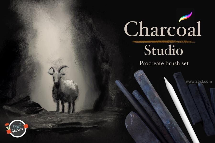 25xt-173507 Charcoal-Studio-Procreate-Brushesz2.jpg