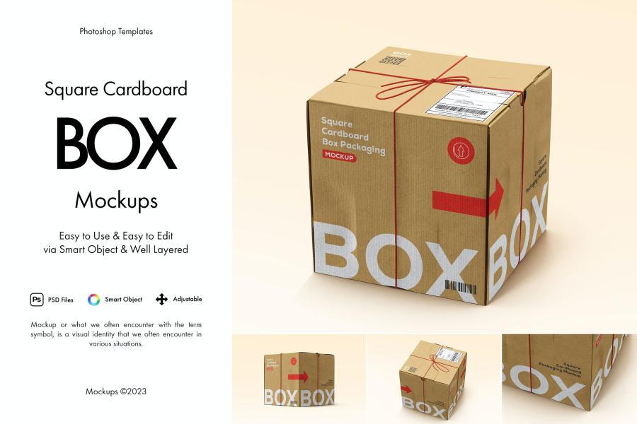 25xt-173893 Square-Cardboard-Box-Mockupz2.jpg