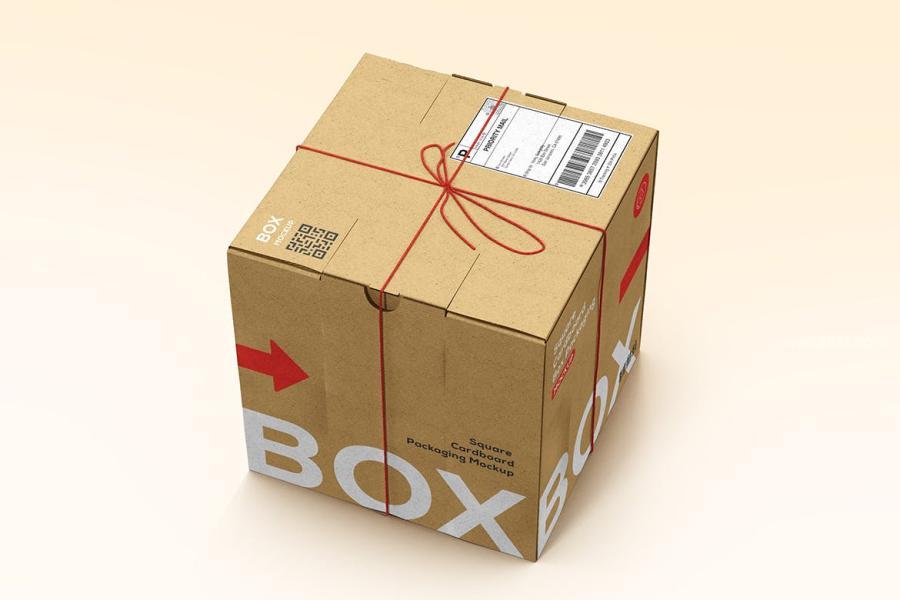 25xt-173893 Square-Cardboard-Box-Mockupz3.jpg
