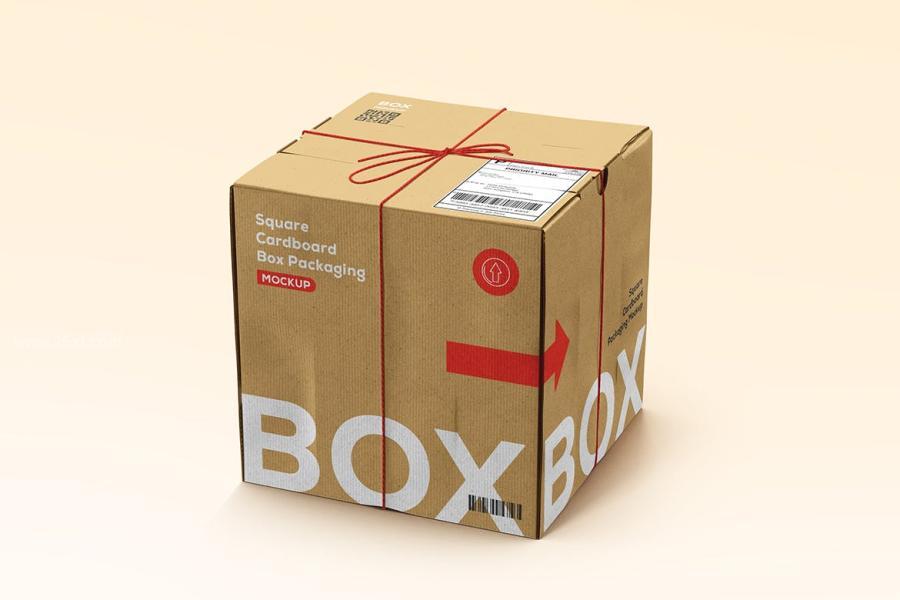 25xt-173893 Square-Cardboard-Box-Mockupz4.jpg