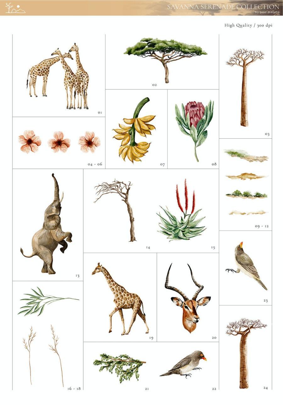 25xt-174055 Watercolor-Safari-Animals-Africa-Giraffe-Elephantz3.jpg