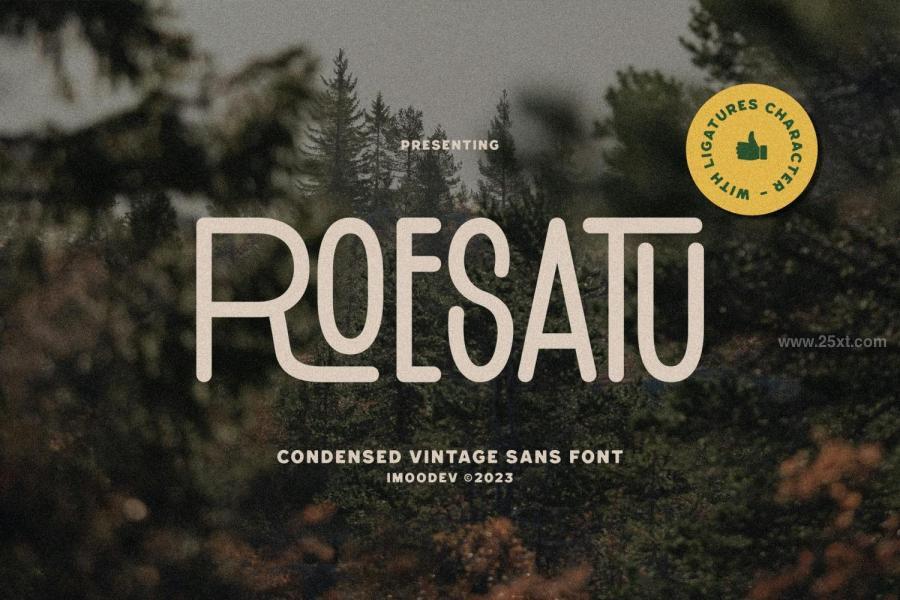 25xt-175058 Roesatu---Condensed-Vintage-Sans-Fontz2.jpg