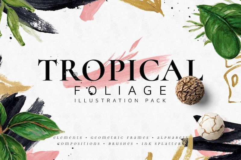Tropical Foliage Illustration Pack-1.jpg