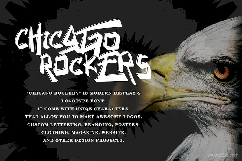 Chicago Rockers-4.jpg