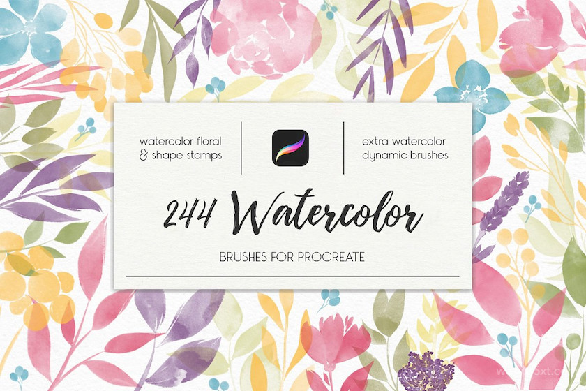 244 Watercolor Brushes For Procreate 1.jpg