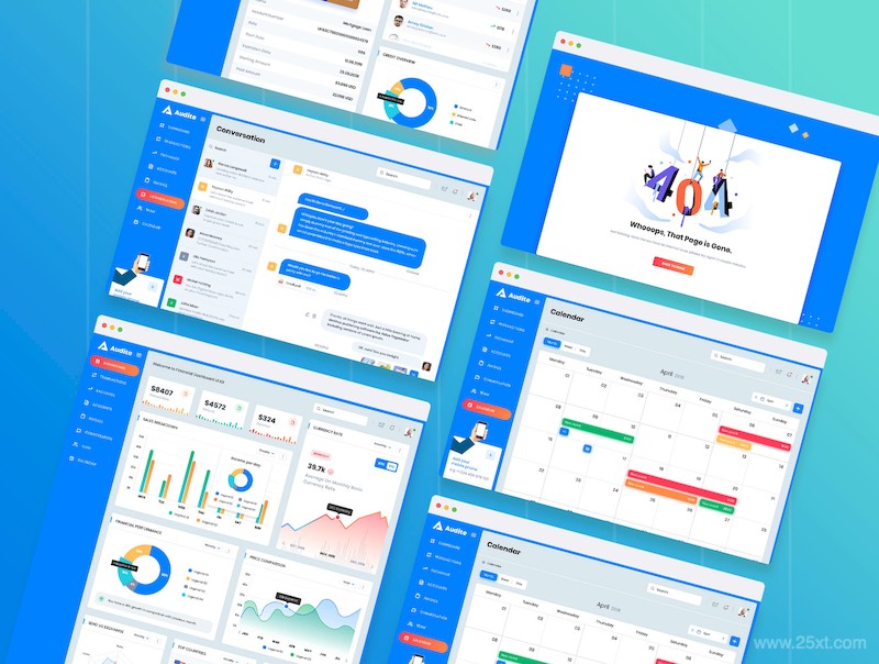 Audite - Financial Dashboard Ui Kit Sketch Template-3.jpg