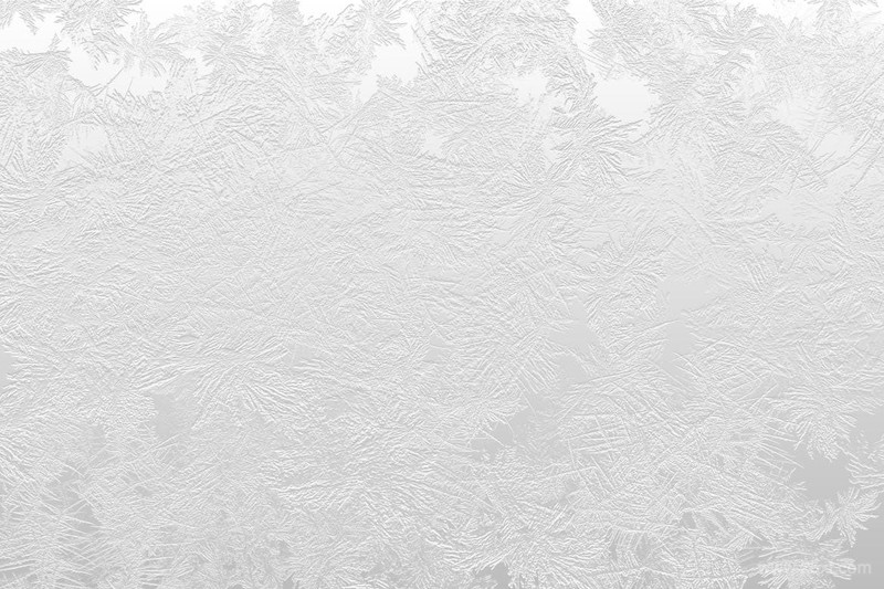 White Frost Winter Backgrounds-6.jpg