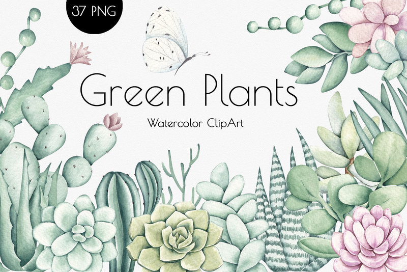 25xt-485142-Watercolor ClipArt Green Plants 1.jpg