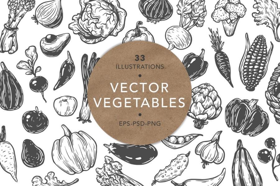 25xt-128755-VectorVegetablesIllustrationsz8.jpg