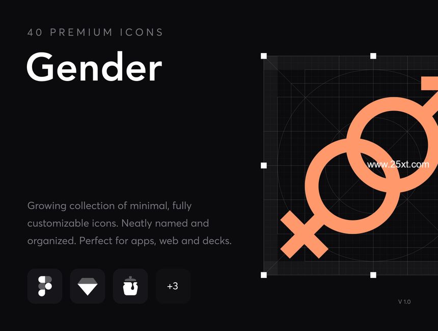25xt-487130-Gender - Premium Icons1.jpg