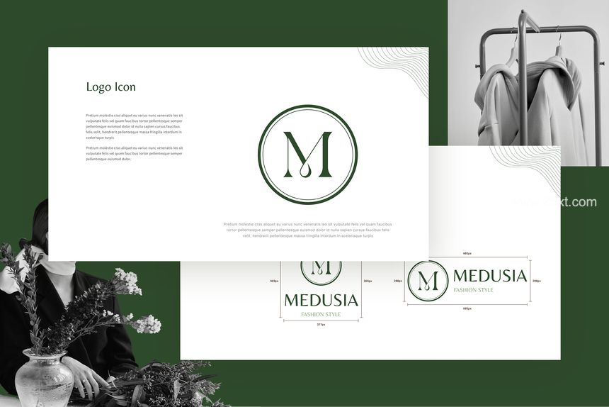 25xt-487640-Medusia Powerpoint Brand Guidelines3.jpg