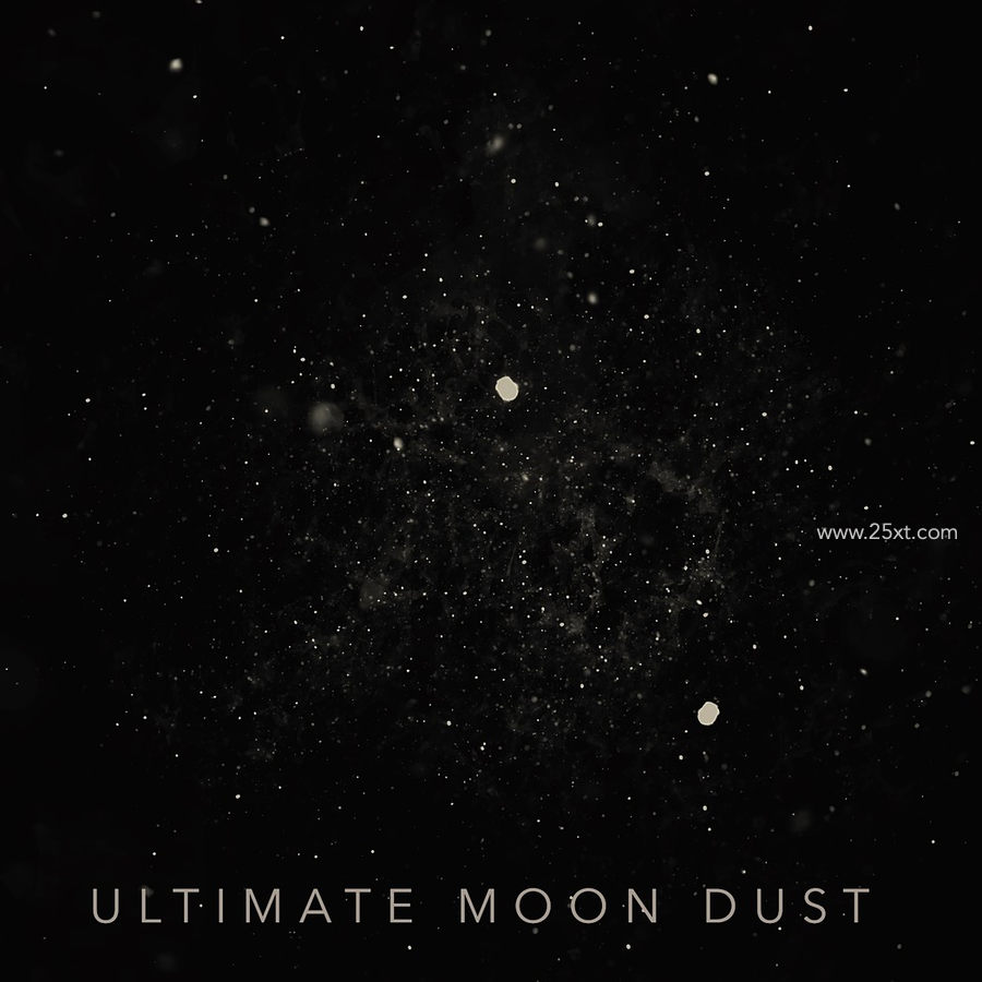 25xt-164034-Moon Dust Brush Set4.jpg