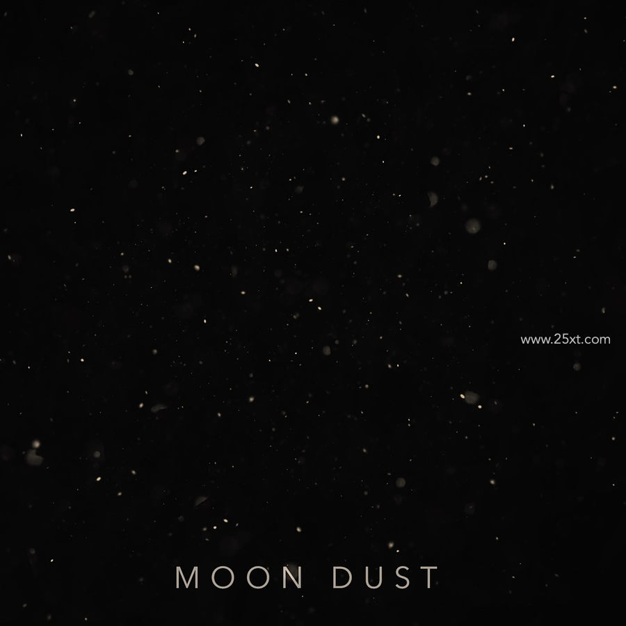 25xt-164034-Moon Dust Brush Set3.jpg