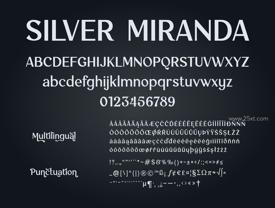 25xt-165995-Silver Miranda Font12.jpg