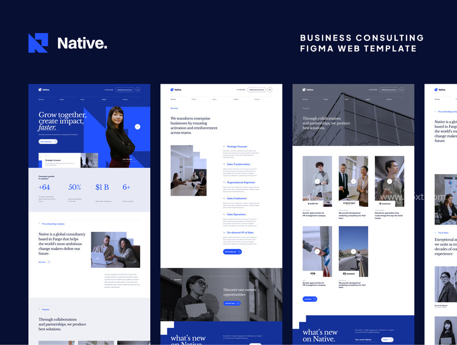 25xt-174362-Native - Business Consulting Figma Web Template2.jpg
