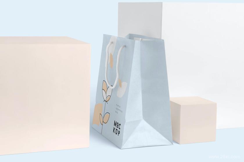 25xt-6500023 SlimRectanglePaperShoppingBagMockupsz8.jpg