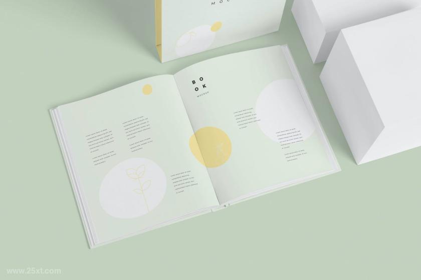 25xt-6500037 HardcoverBookSlideCoverMockupsz5.jpg