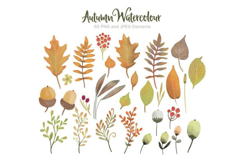 25xt-155036 AutumnWatercolourElementsz4.jpg