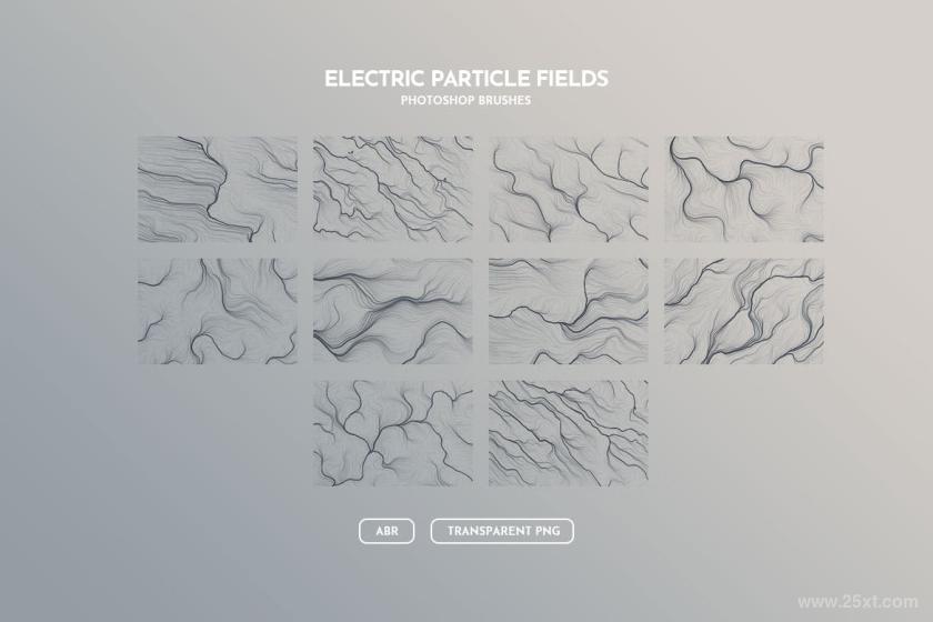 25xt-612295 ElectricParticleFieldsBrushesPhotoshopBrushesz3.jpg