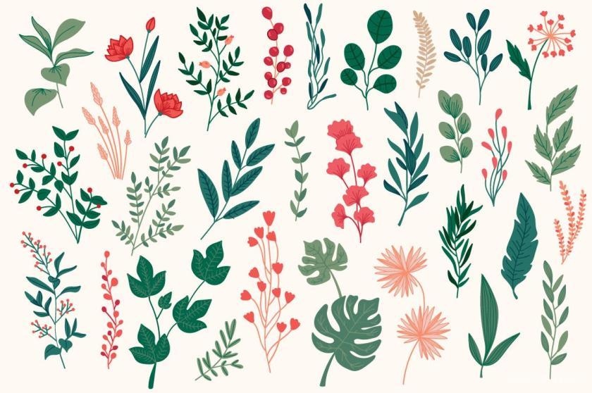 25xt-126163 CollectionHandDrawnFloralDecorativeElementz7.jpg