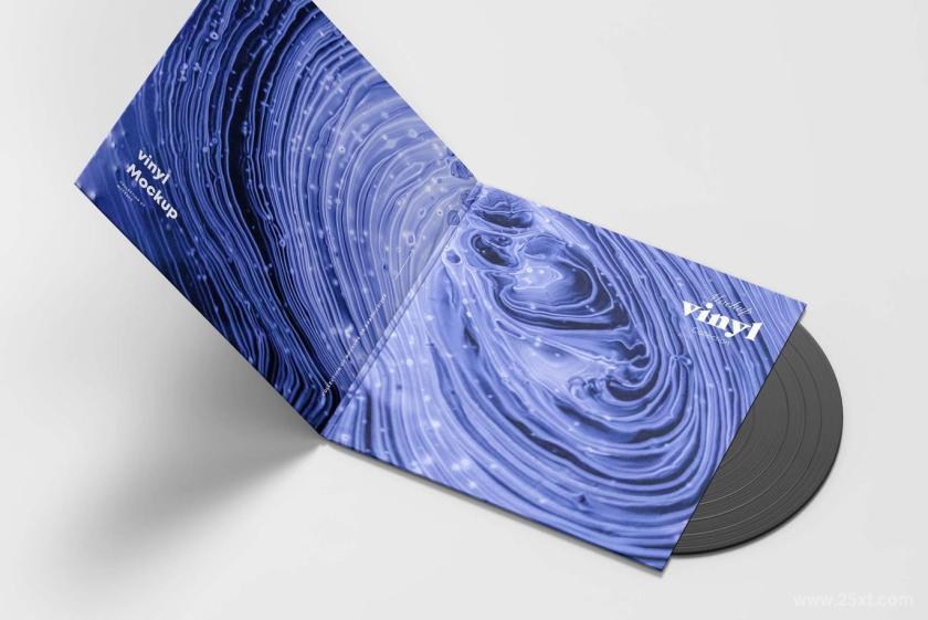 25xt-155229 VinylMock-up4z9.jpg