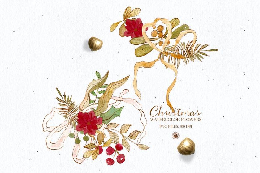 25xt-126657 Christmasflowerswatercolorclipartz5.jpg