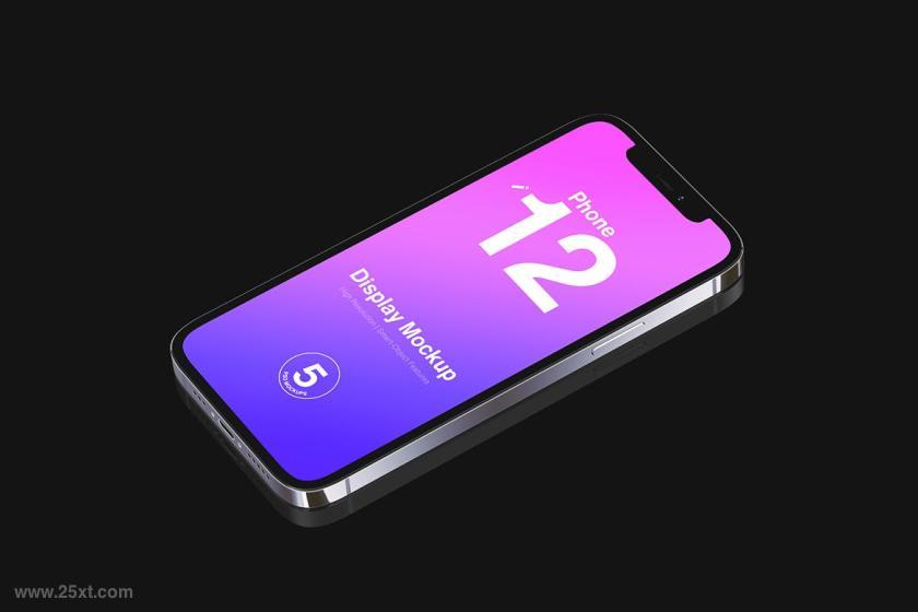 25xt-155264 iPhone12MockupSet2z7.jpg