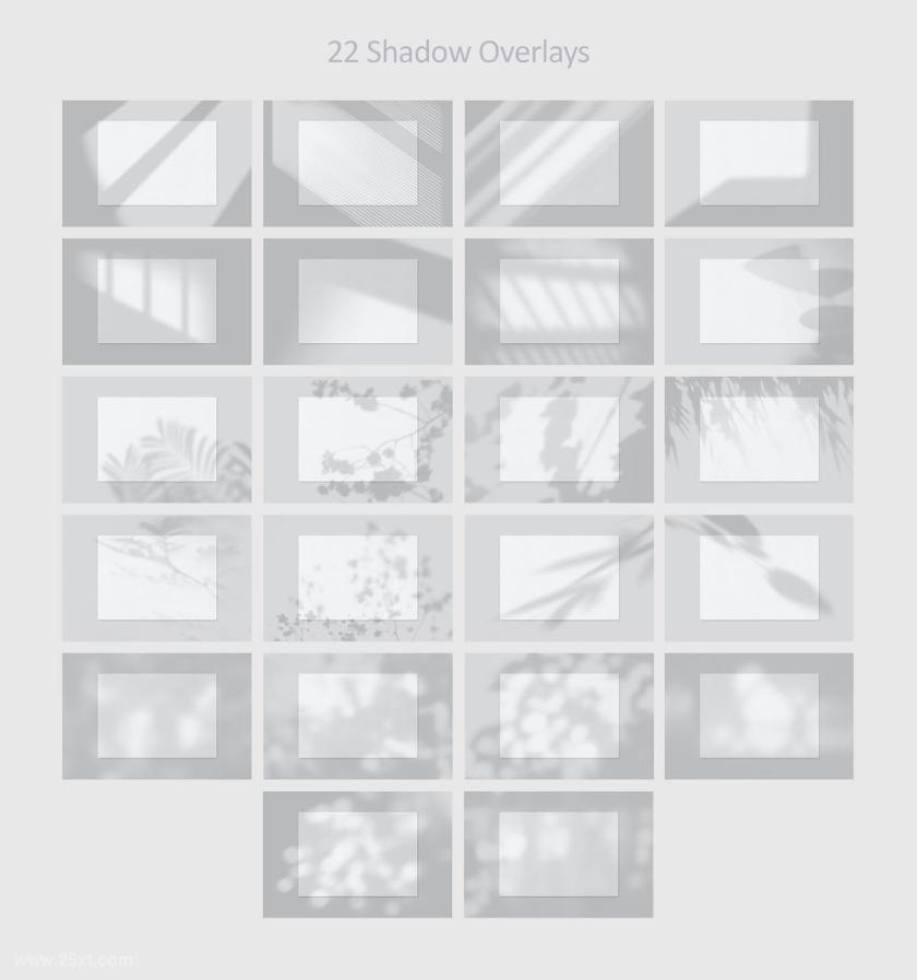 25xt-126698 ArtBrandingSceneGenerator-PNGVersionz7.jpg