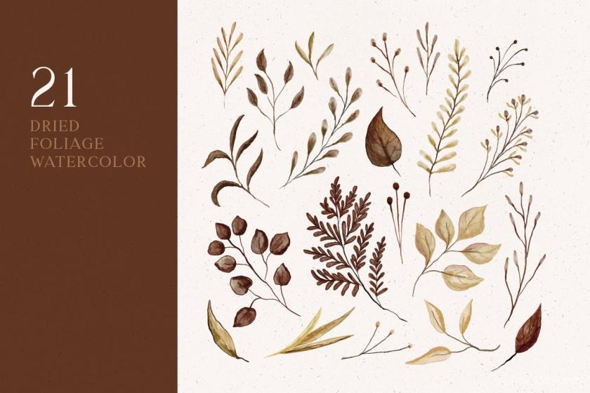 25xt-155329 DriedFoliageVectorWatercolorz3.jpg