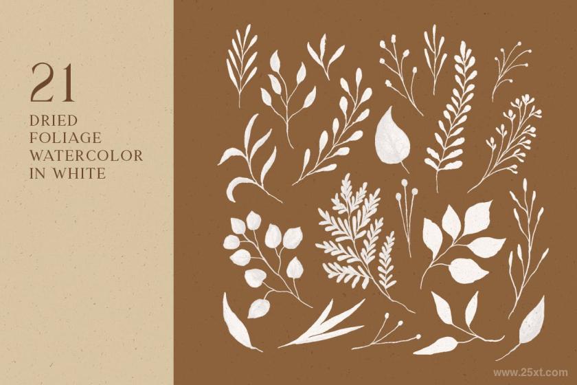 25xt-155329 DriedFoliageVectorWatercolorz4.jpg
