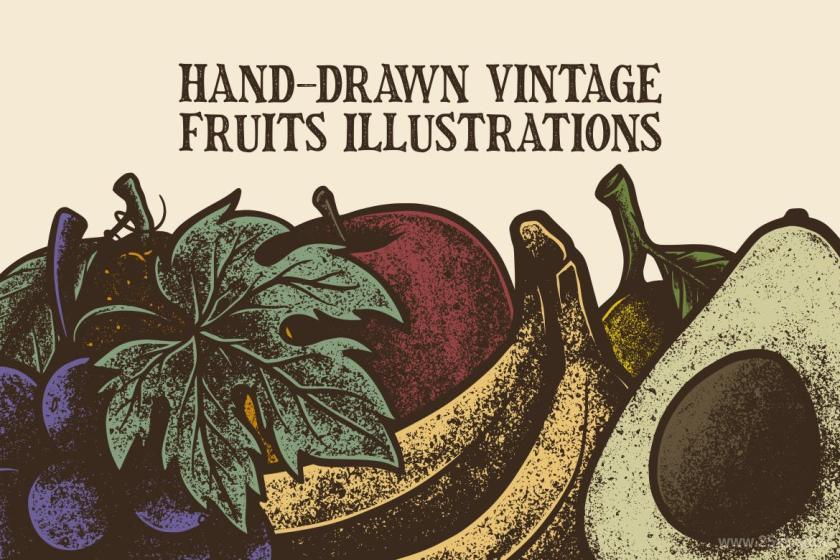 25xt-126823 Hand-DrawnVintageFruitsIllustrationsz3.jpg