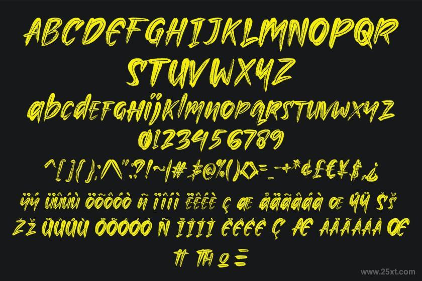 25xt-155061 Lockdownz7.jpg