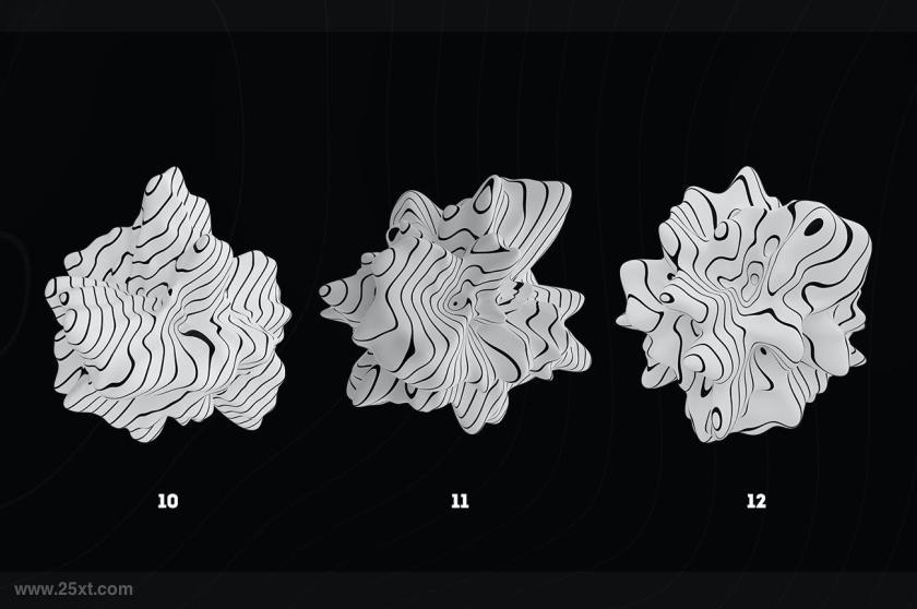 25xt-155422 Abstract3DRenderingofOrganicShapes-BWz11.jpg