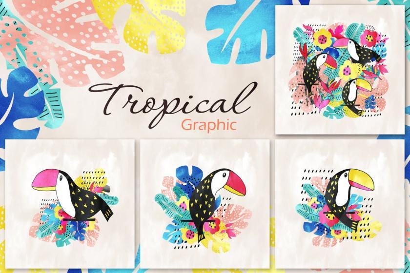 25xt-126910 Tropicalz4.jpg
