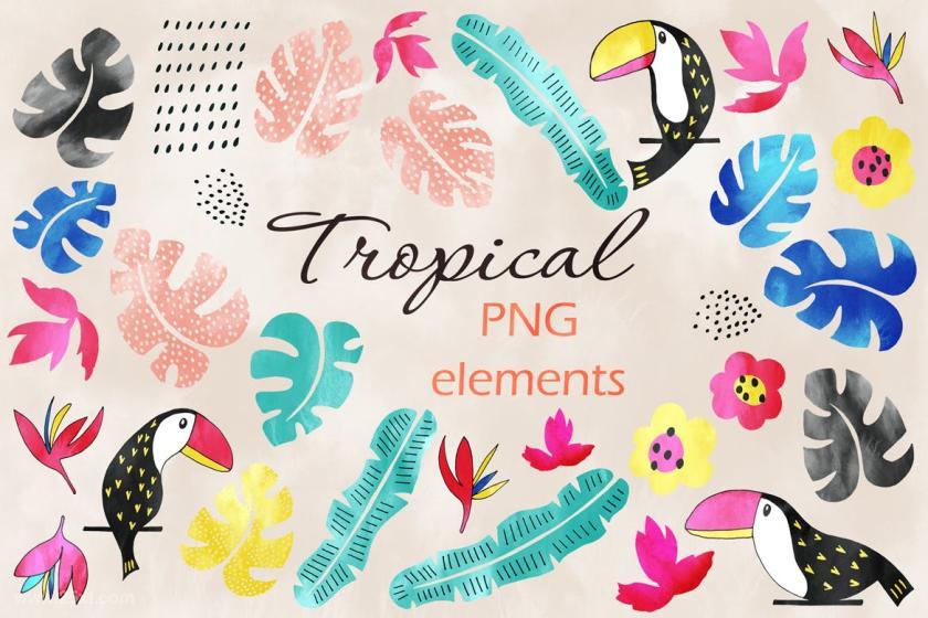25xt-126910 Tropicalz7.jpg