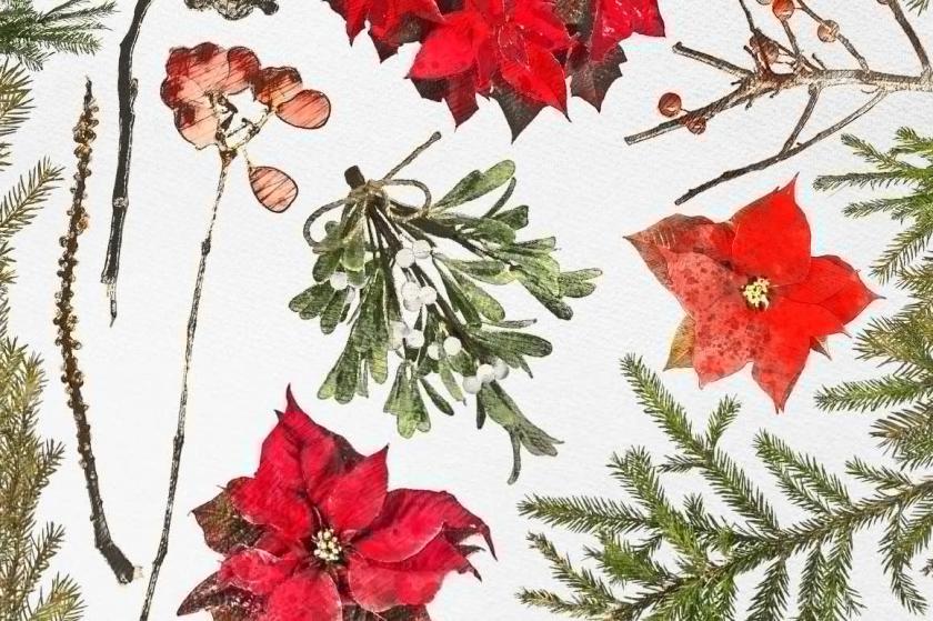 25xt-126945 WinterWonderlandDesignerToolkitz9.jpg