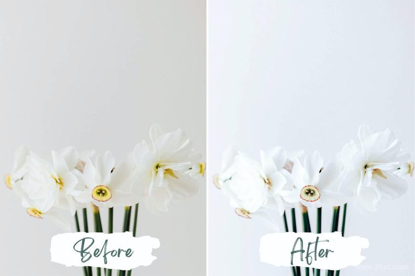 25xt-155481 BetterWhiteLightroomPresetsz5.jpg