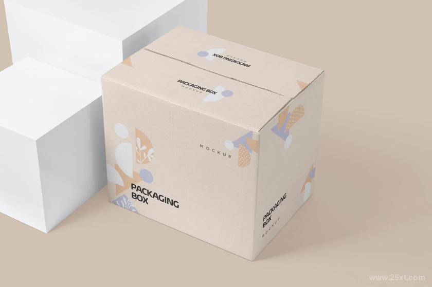 25xt-126539 7PackagingBoxMockupsz10.jpg