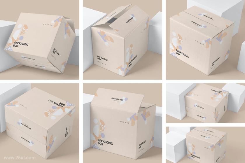 25xt-126539 7PackagingBoxMockupsz3.jpg