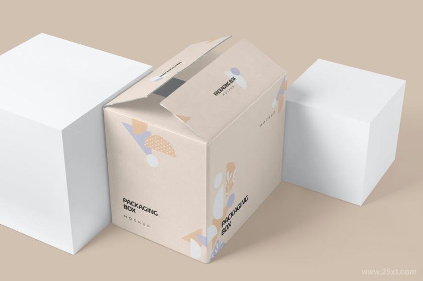 25xt-126539 7PackagingBoxMockupsz5.jpg