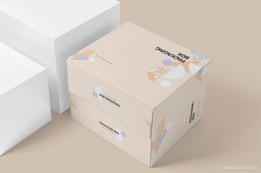 25xt-126539 7PackagingBoxMockupsz7.jpg