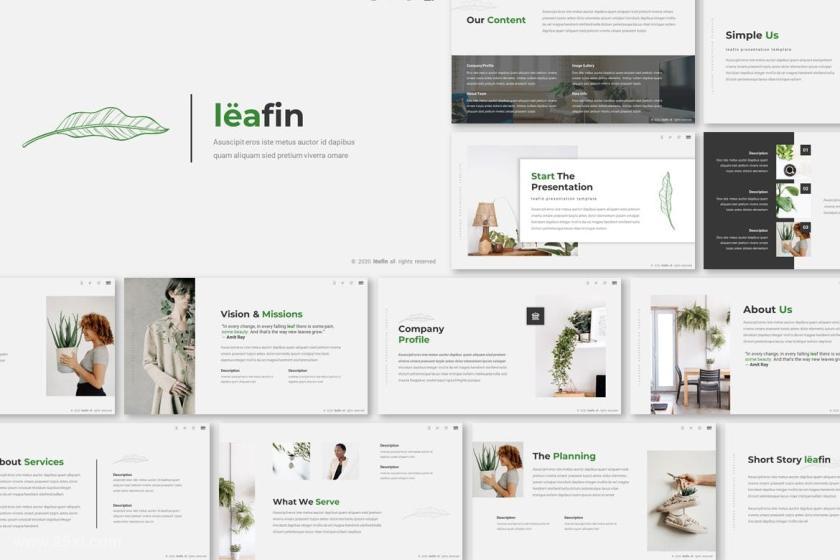 25xt-155166 LeafinPresentationTemplatez3.jpg