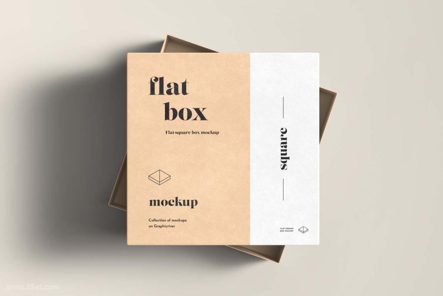 25xt-155815 FlatSquareBoxMock-upz10.jpg