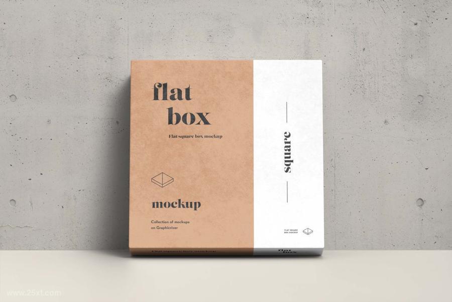 25xt-155815 FlatSquareBoxMock-upz12.jpg