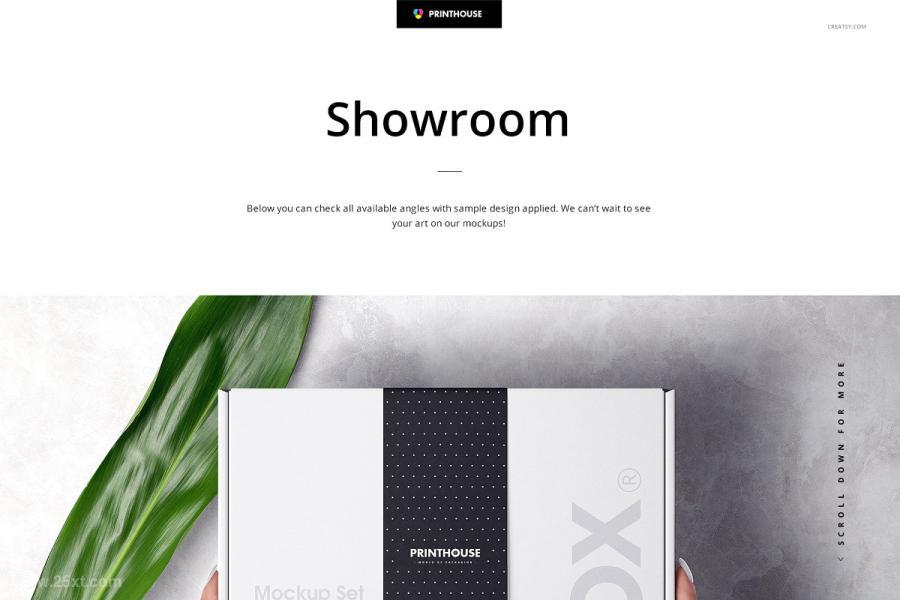 25xt-127366 Mailing-Box-Mockup-Bundlez9.jpg